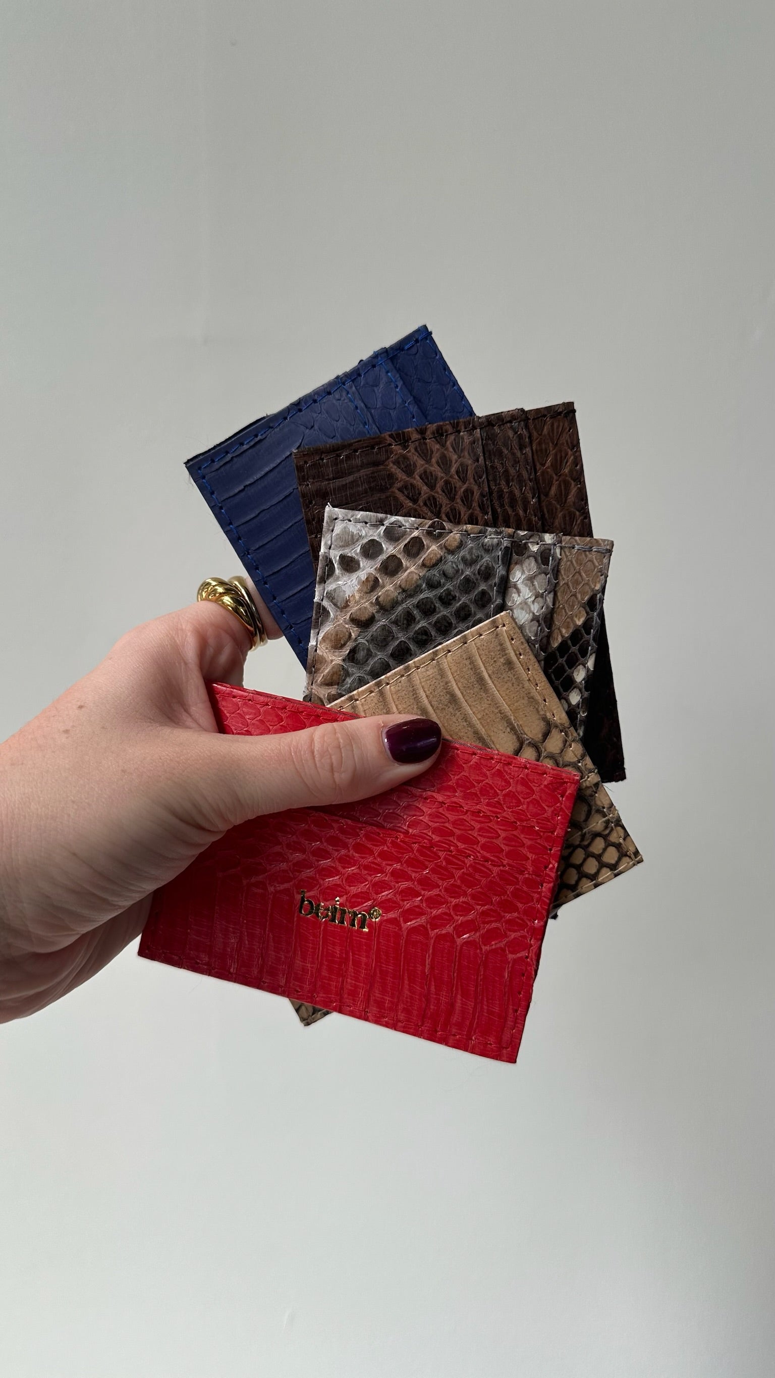 Python Card Wallet