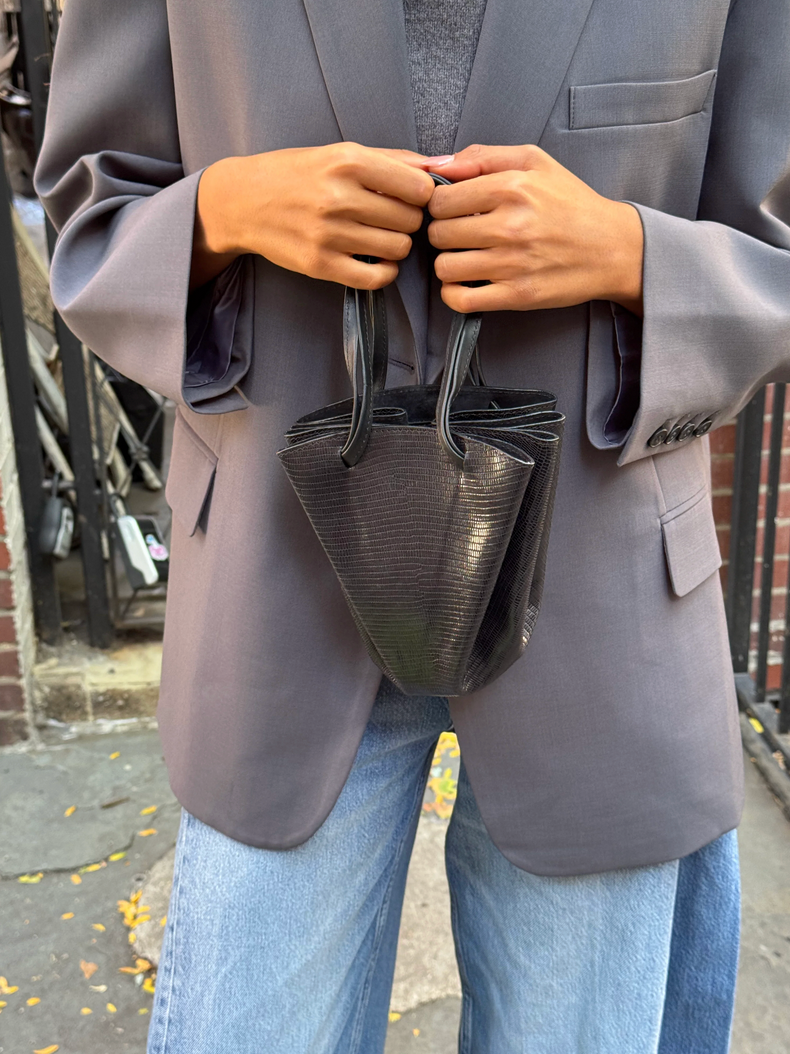 Dalia Accordian Handbag