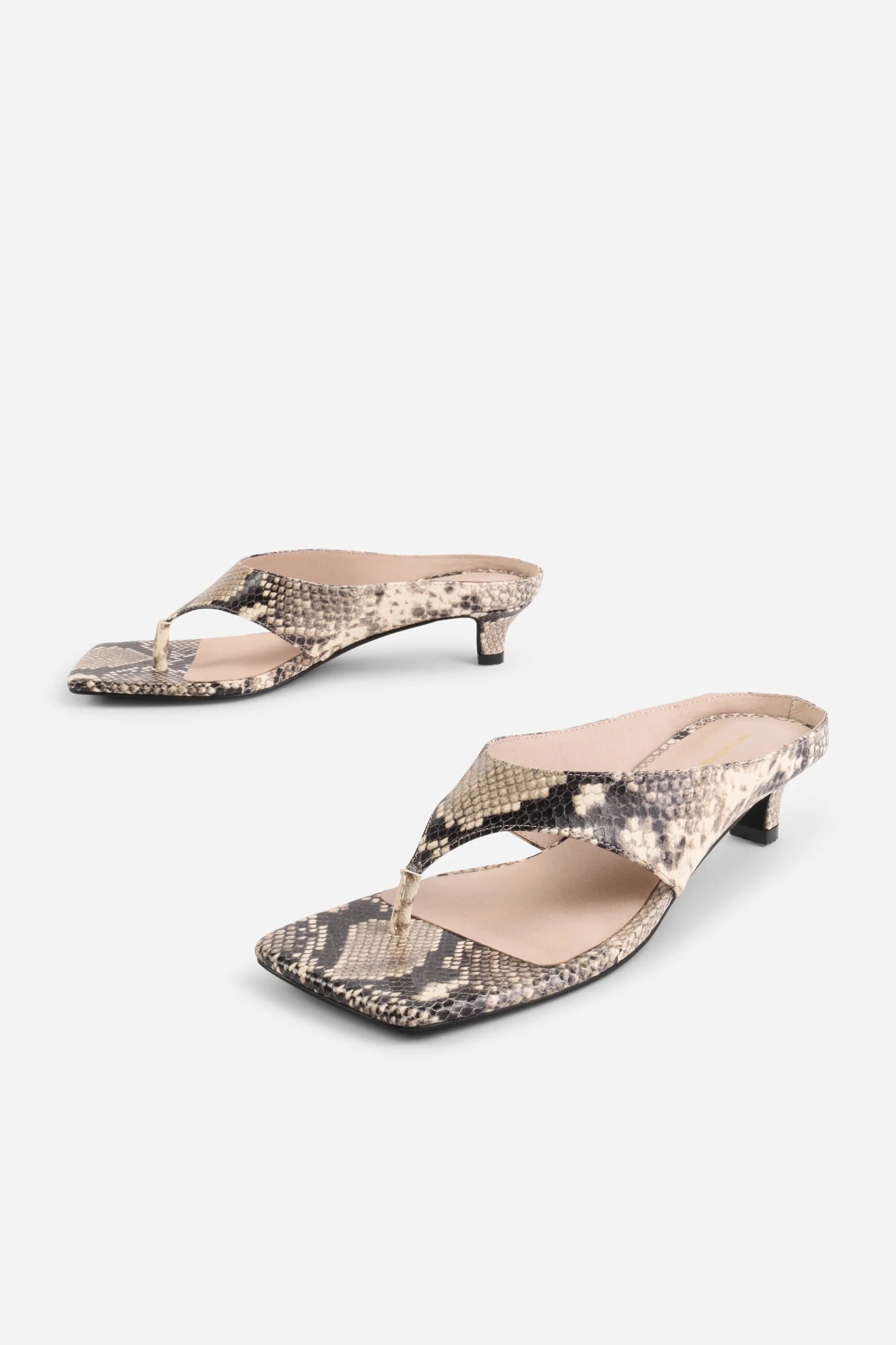 Year Ahead Snake Embossed Kitten Heel