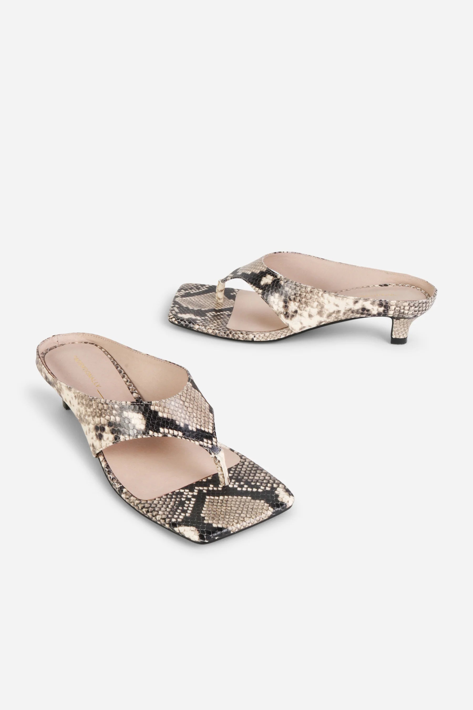 Year Ahead Snake Embossed Kitten Heel