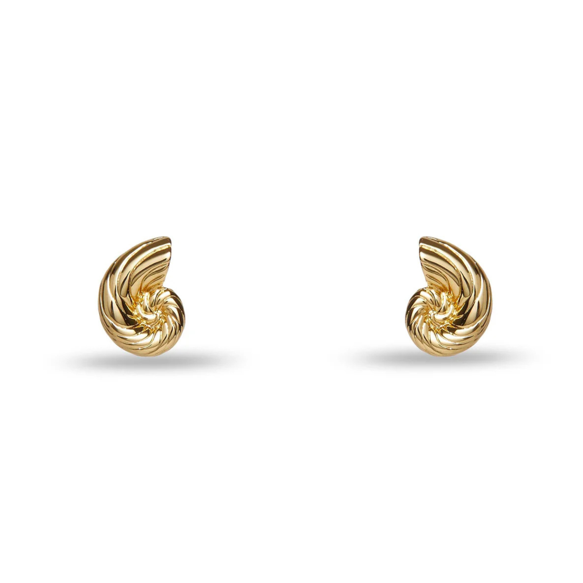 Gold Nautilus Shell Stud