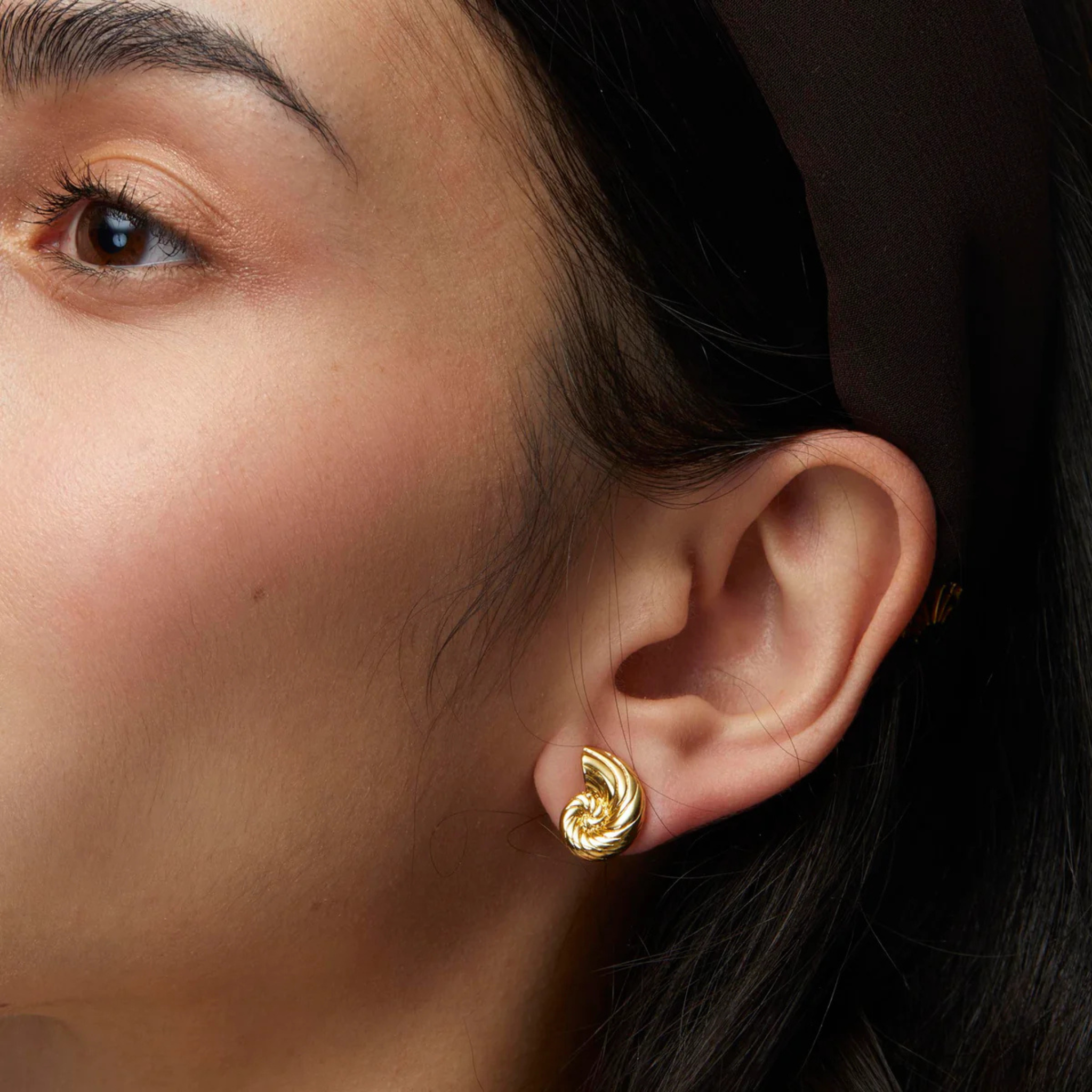 Gold Nautilus Shell Stud