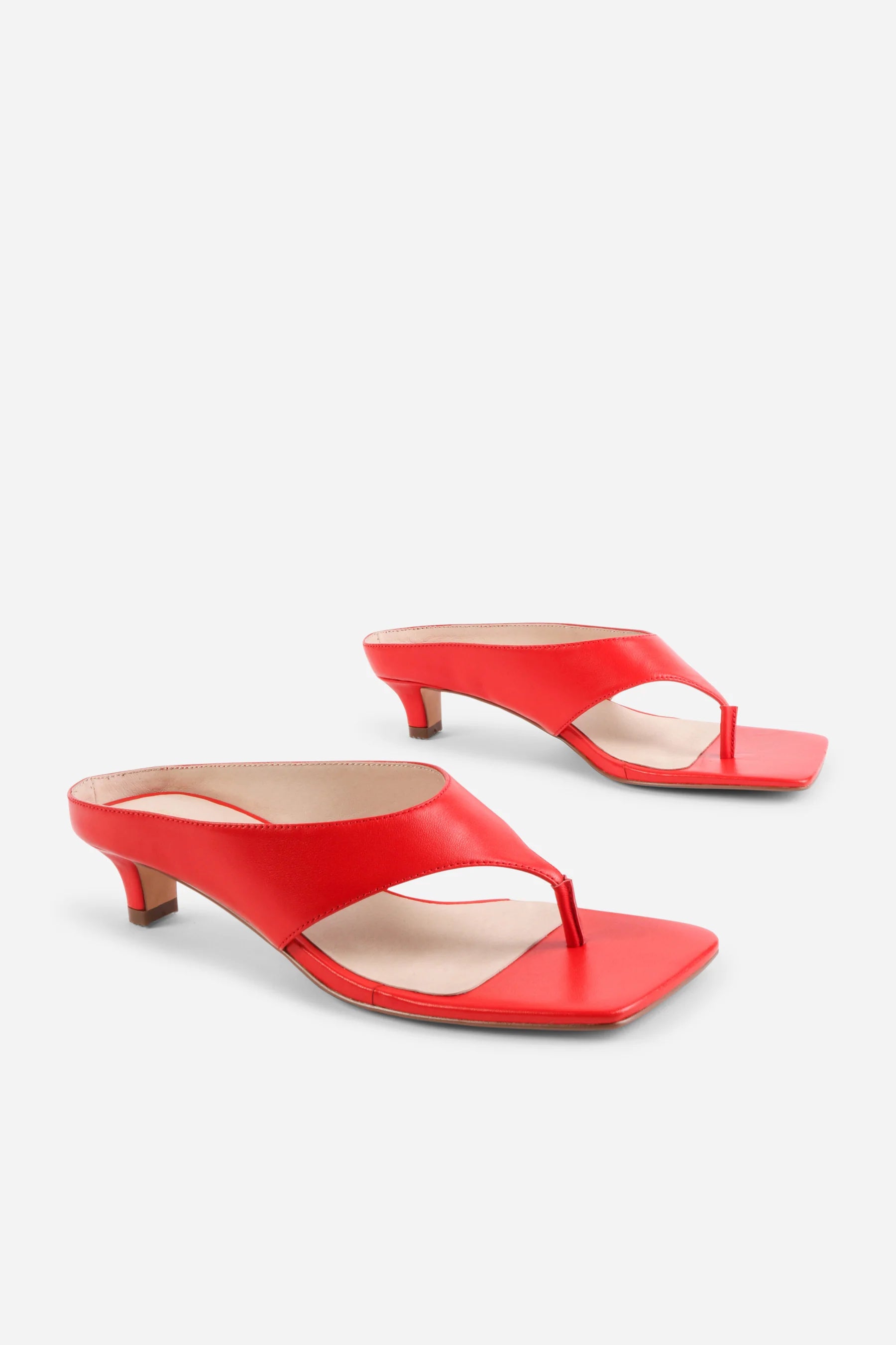 Year Ahead Snake Embossed Kitten Heel