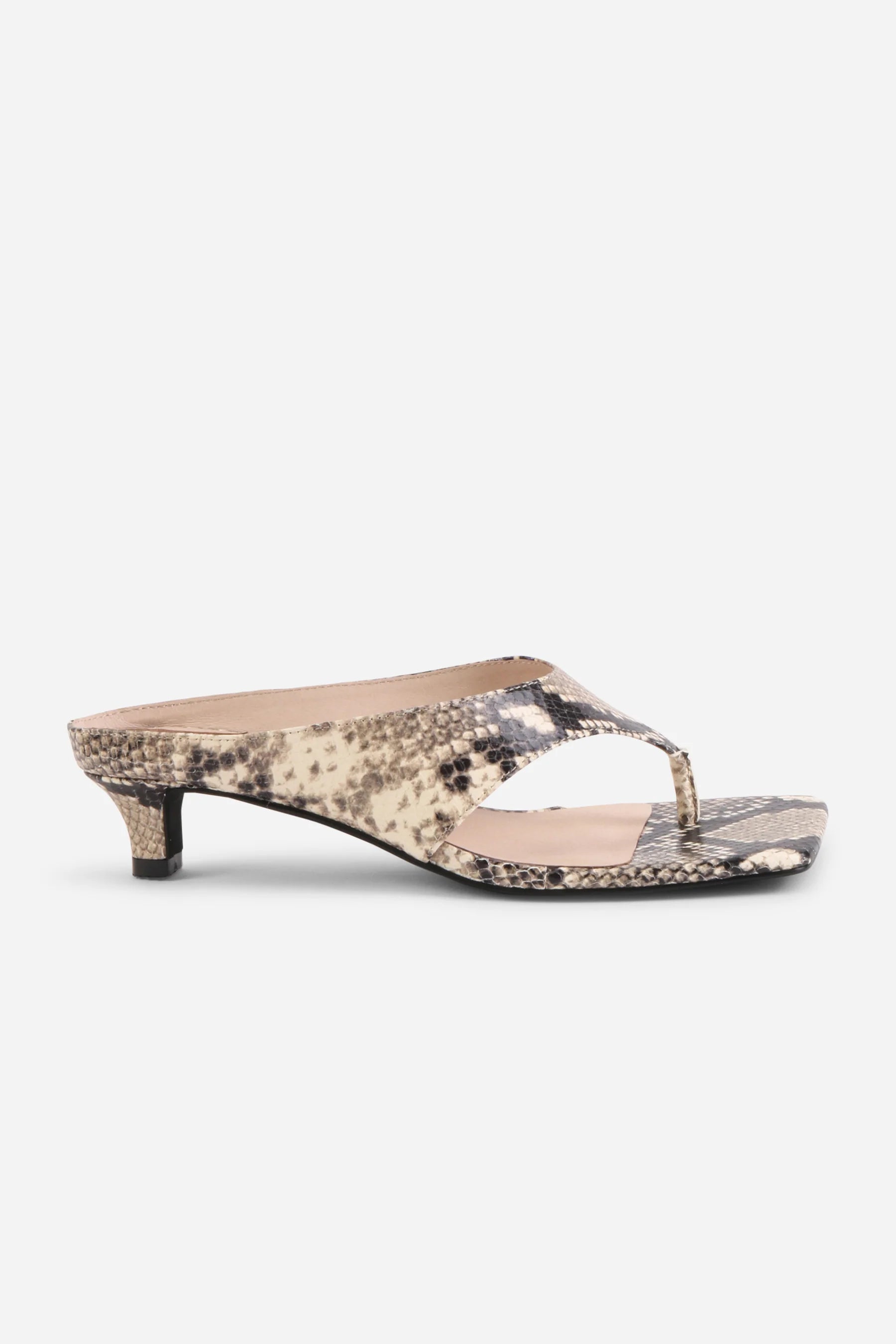 Year Ahead Snake Embossed Kitten Heel